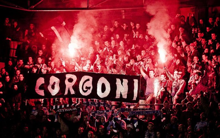 Corgoni